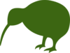 Green Kiwi Bird Clip Art