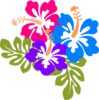 Hibiscus/lauae Clip Art