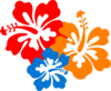 Icon Hibiscus Flowers 2b Clip Art