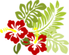 Red Hibiscus Clip Art