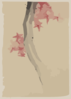 [unidentified, Possibly A Tree Branch With Red Star-shaped Leaves Or Blossoms] Clip Art