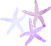 Three Starfish Clip Art
