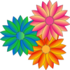 Multi Coloured Daisies Clip Art