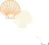 Orange Shell Clip Art