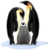 Penguin Family Clip Art