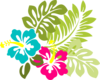 Hibiscus Clip Art