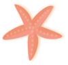 Coral Starfish Clip Art