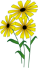 Flowers Clip Art