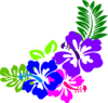 Hibiscus Nat Clip Art