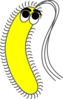 Bacteria Yellow Funny Clip Art