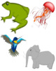 Frog Jelly Fish Bird Elephant Clip Art