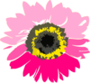 Pinksunflower Clip Art