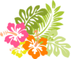 Hibiscus Clip Art