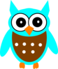 Turquoise Brown Owl Clip Art
