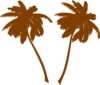 Brown Palm Trees  Clip Art