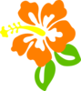 Orange Hibiscus Clip Art