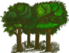 Group Of Trees Clip Art