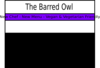 The Barred Owl Clip Art