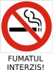 No Smoking Romana Clip Art