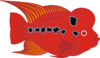 Fish With Orange Wings Clip Art