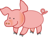 Small Pig Clip Art