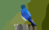 Mountain Blue Bird X Clip Art