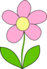 Flower Pink  Clip Art