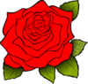 Red Rose Flower Clip Art