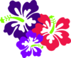 Hibiscus Clip Art