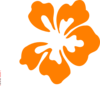 Hibiscus Orange Clip Art