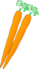 Carrots Clip Art
