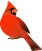 Red Cardinal Clip Art