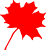 Red Leaf Clip Art