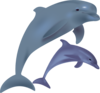 Dolphins Clip Art