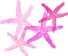 Starfish Prints Clip Art