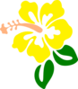 Hibiscus Yellow Clip Art