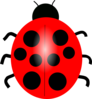 Red Ladybug Clip Art