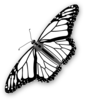 Monarch Butterfly Bw Clip Art
