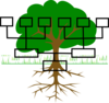 Calciumtreefamily Clip Art