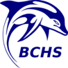 Bchs Dolphin Clip Art