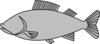 Fish 22 Grey Filled Clip Art
