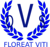 Qvs Fiji Logo Clip Art