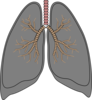 Smokers Lung Clip Art