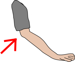 clipart elbow