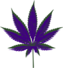 Kush And Pain Clip Art