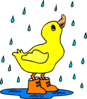 Duck In The Rain Clip Art
