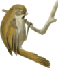 Paradoxornis Verreauxi Clip Art