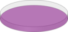 Purple Petri Dish Open Clip Art