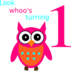 Owl 1st Bithday  Clip Art