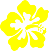 Yellow Hawaiian Flower Clip Art